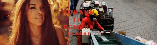 ГАЛЛЮЦИНОГЕННЫЕ ГРИБЫ Арсеньев