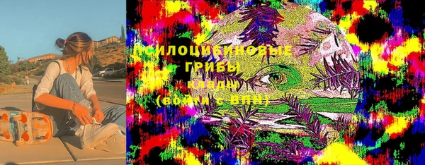 ГАЛЛЮЦИНОГЕННЫЕ ГРИБЫ Арсеньев