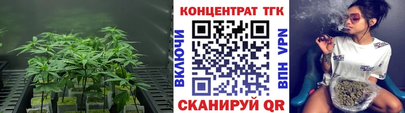 Дистиллят ТГК THC oil  как найти закладки  Канаш 