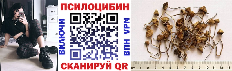 Псилоцибиновые грибы мухоморы  даркнет сайт  Канаш 