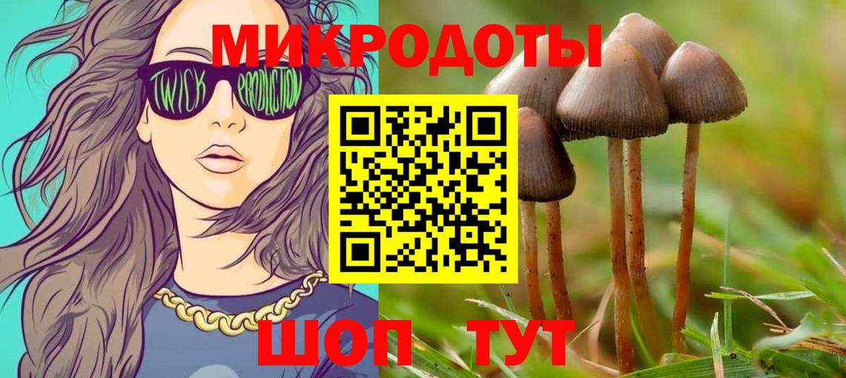 Псилоцибиновые грибы Psilocybine cubensis Канаш