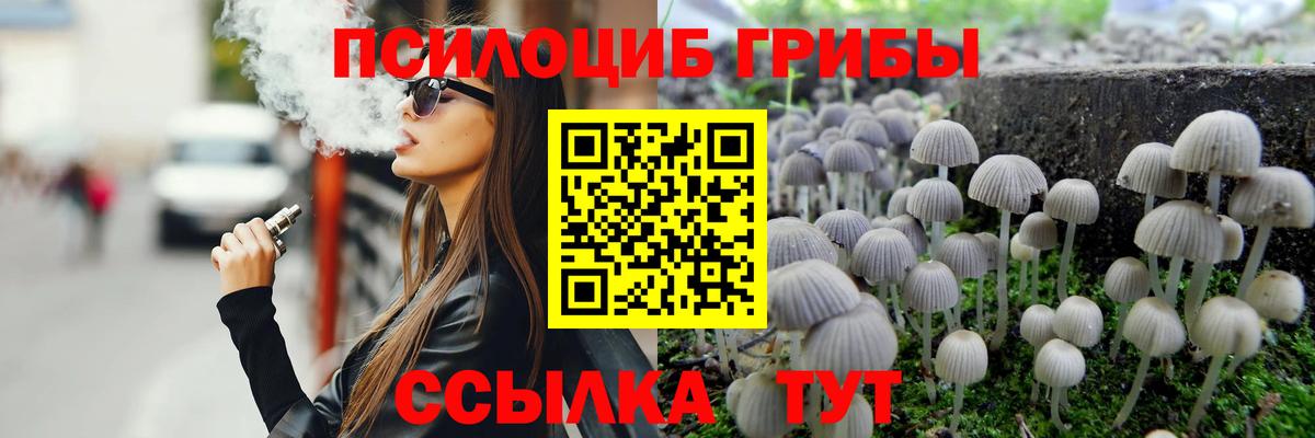 Канаш  Псилоцибиновые грибы MAGIC MUSHROOMS  Вход с VPN 
